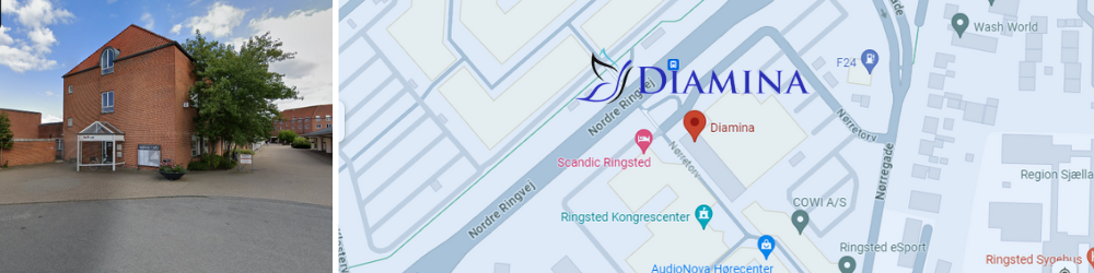Diamina-Ringsted-Sjælland2